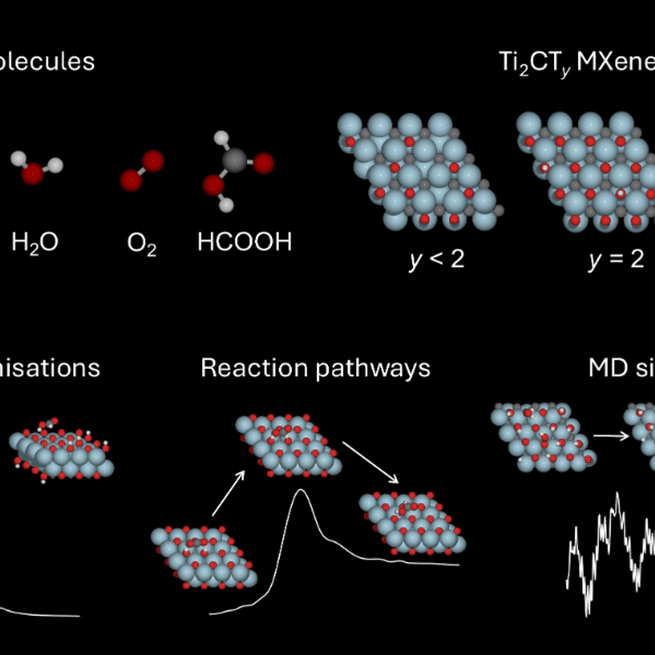 Benchmark Dataset for Catalysis on 2D MXenes