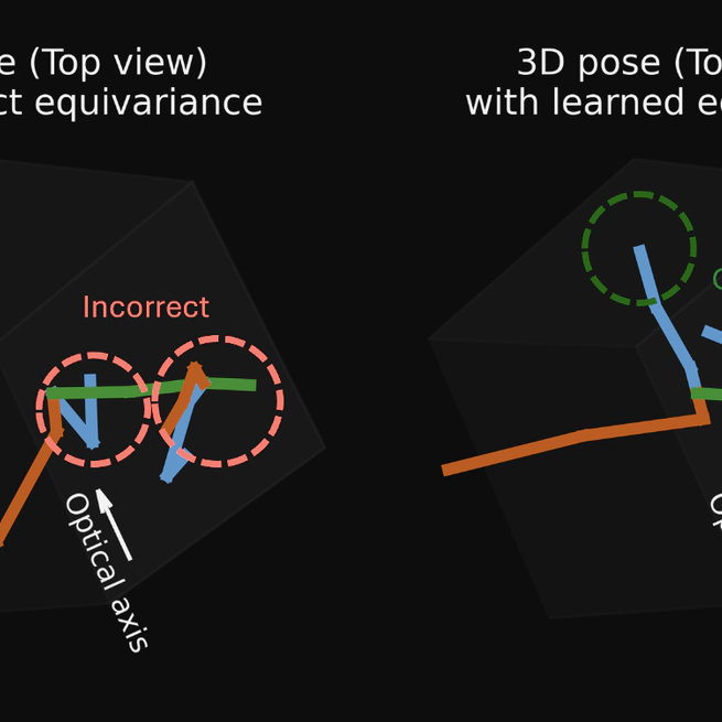 On the Role of Rotation Equivariance in Monocular 3D Human Pose Estimation